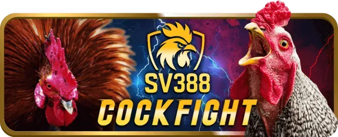 Các chương trình khuyến mãi đá gà độc quyền tại 7club login
